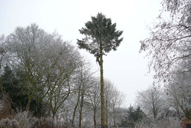 Overzicht grote den